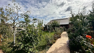 Proprietar vand casa Dumbravita - imagine 3