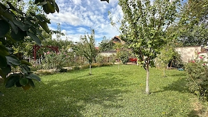 Proprietar vand casa Dumbravita - imagine 4