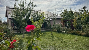 Proprietar vand casa Dumbravita - imagine 5
