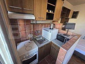 Garsoniera de vanzare, 22 mp, zona Dambul Rotund - imagine 7