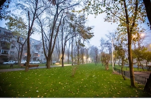 Floreasca Parcul Verdi  - imagine 4