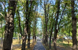 Floreasca Parcul Verdi  - imagine 2