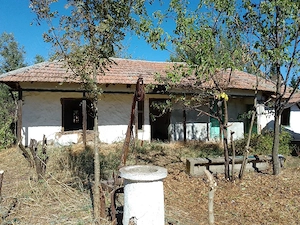 Teren intravilan1.120MP+ Casa bătrâneasca Demolabilă - imagine 5