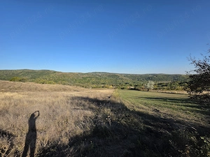 Teren extravilan de vânzare 9.700 mp, Dănulești, comuna Buda, jud. Buzău   ideal livadă, p - imagine 4