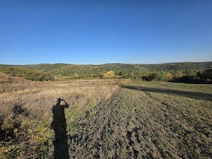 Teren extravilan de vânzare 9.700 mp, Dănulești, comuna Buda, jud. Buzău   ideal livadă, p - imagine 6