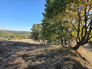 Teren extravilan de vânzare 9.700 mp, Dănulești, comuna Buda, jud. Buzău   ideal livadă, p - imagine 5