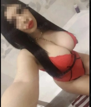 Gaviota servici de calitate