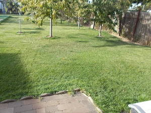 Casa P-P+M, Timisoara, Freidorf, 182mp util, 1171mp teren, partial mobilata si utilata - imagine 3