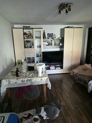 Casa P-P+M, Timisoara, Freidorf, 182mp util, 1171mp teren, partial mobilata si utilata - imagine 6