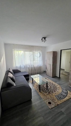 Complex, 2 Camere, Recent Renovat - imagine 2