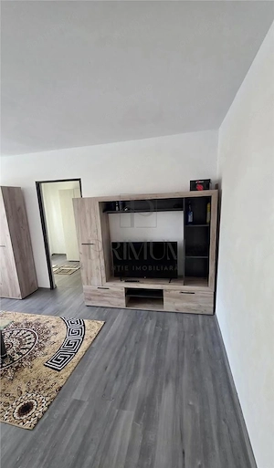Complex, 2 Camere, Recent Renovat - imagine 3