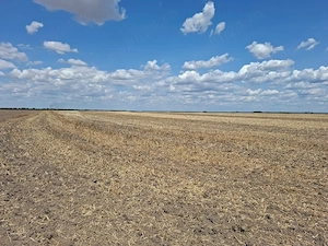 Teren agricol 
