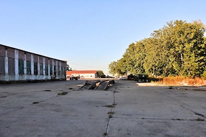 Fermă agricolă Hodoni, Timiș   2,3 ha, hale, birouri, cântar 50 t - imagine 2