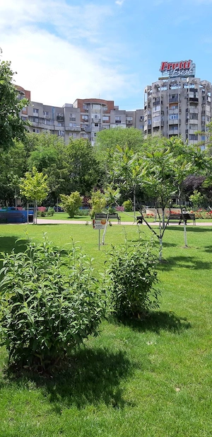 Închiriez garsonieră zona Crangasi - imagine 6