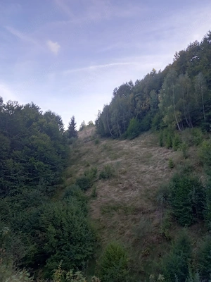 teren de vânzare 15.000m