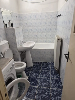 Lipovei - Apartament 1 Camera - imagine 4