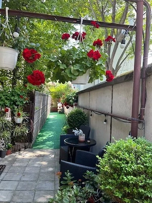Casă de vanzare, ultracentral, 5 camere, Zona Eminescu-Toamnei - imagine 3