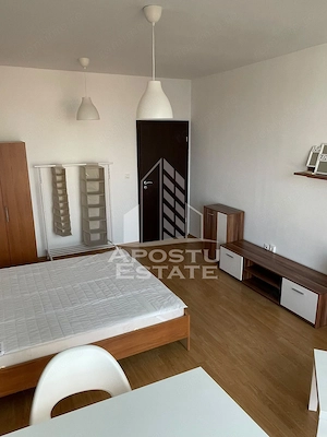 Apartament  cu 1 camera de inchiriat in zona Fabric - imagine 2