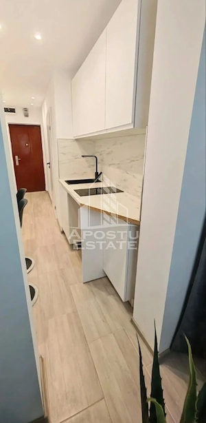 Garsoniera renovata de vanzare, zona Blascovici Timisoara - imagine 3