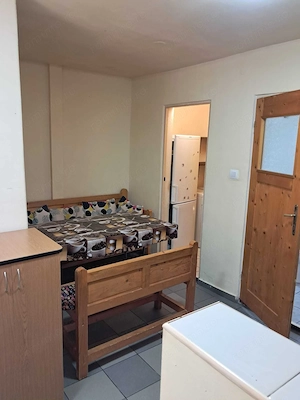 Apartament cu o cameră Timișoara de inchiriat - imagine 7