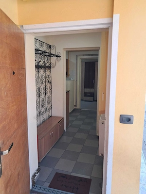 Apartament cu o cameră Timișoara de inchiriat - imagine 2
