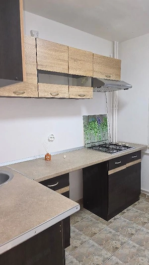 Colentina, Teiul Doamnei, renovata bl mixt - imagine 2
