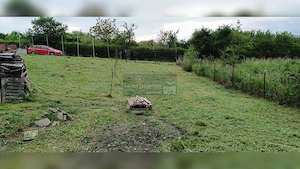 Teren intravilan | 1.244 mp | Strada Paltinului – Valea Ghinzii - imagine 14