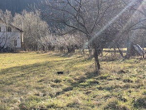 Teren de 700 mp de vânzare   Câmpu Cetății, Mureș - imagine 6