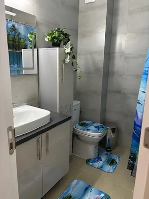 inchiriere apartament studio - imagine 5