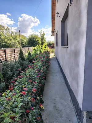 Proprietar,vănd casă 130 M2 și teren 736 M2 în Brad com Berești Bistrița jud Bacau - imagine 3