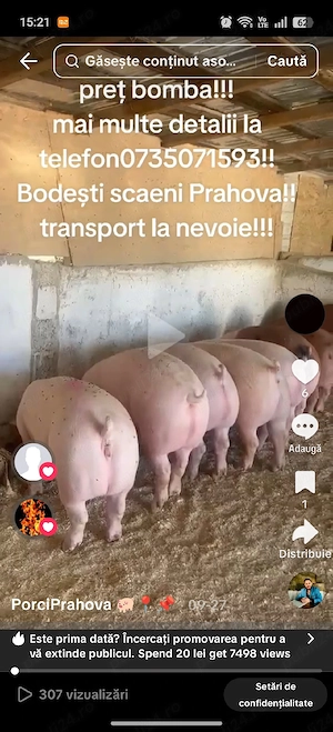 porci de carne  - imagine 4