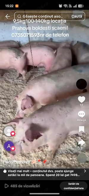 porci de carne 
