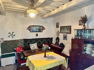 Casa de vanzare in Aciliu - imagine 8