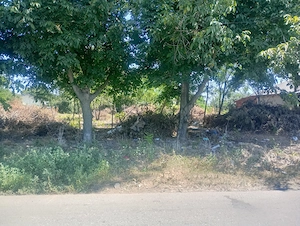 Vanzare teren intravilan Frumușani 1360mp, central  - imagine 5
