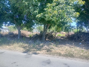Vanzare teren intravilan Frumușani 1360mp, central  - imagine 4