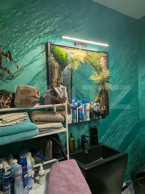 CASA INDIVIDUALA  - imagine 6