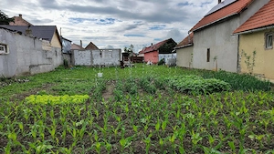 Vand teren Feldioara Brasov - imagine 5