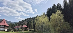 teren intravilan