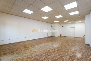 Spatiu comercial Pta Ferentari - imagine 7