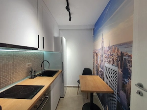 Proprietar inchiriez garsoniera cu parcare zona Palady  - imagine 3