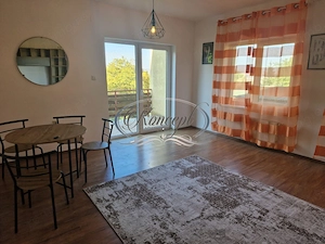 Casa cu 5 camere, garaj si curte in Andrei Muresanu - imagine 3