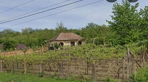 Casa parter 800 mp teren, front 30 ml, strada principala Toceni