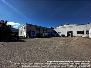 Hale de la 148mp la 1000mp, zona Carrefour Felicia, str. Bucium