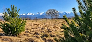 Teren  intravilan cu vedere la munti de vanzare