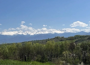 Teren panoramic 5.800 mp, acces la drum, vedere Munții Retezat, Ciula Mare - imagine 2