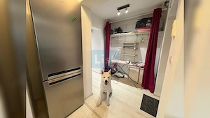 Apartament 3 camere decomandat, strada Observatorului, Zorilor UMF - imagine 20