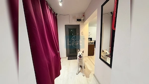 Apartament 3 camere decomandat, strada Observatorului, Zorilor UMF - imagine 18