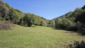 Vând teren extravilan Tarcău   Punct Radu, 4.492 mp | Teren drept + pădure - imagine 3