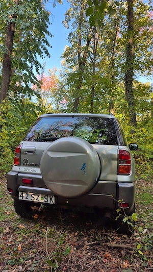 Toyota RAV4  - imagine 2