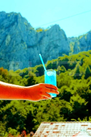 Casă de vacanță în inima naturii – Râmeț, Valea Mănăstirii - imagine 18